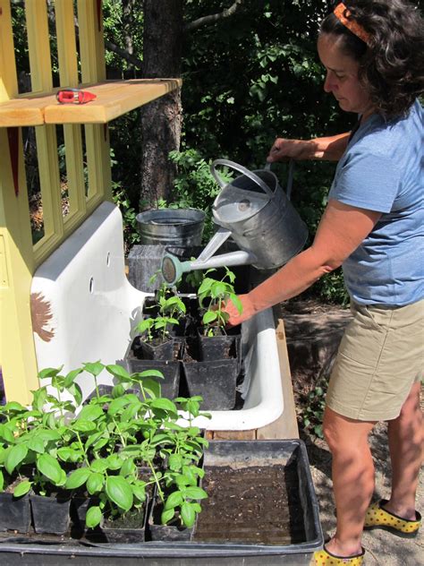Montana Wildlife Gardener The Repurposed Potting Bench In Use