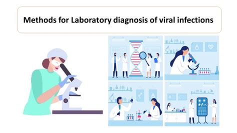 Methods For Laboratory Diagnosis Of Viral Infections Microbiology Notes