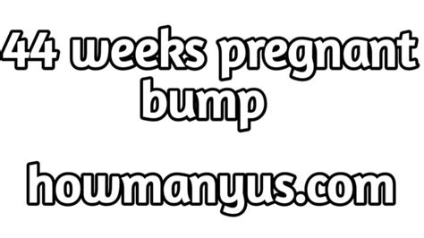 44 weeks pregnant bump best information how many us