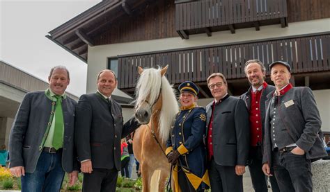Neueröffnung Fohlenhof Ebbs Haflinger Pferdezuchtverein Weer