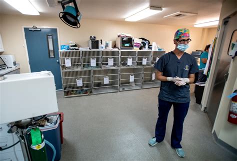 Weld County Humane Society works with animal control contractors to prevent parvovirus - Greeley ...