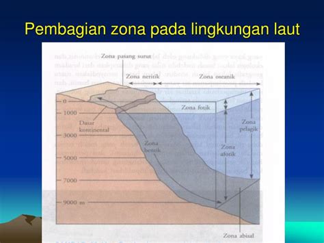 PPT - Bioma Akuatik PowerPoint Presentation - ID:4186916