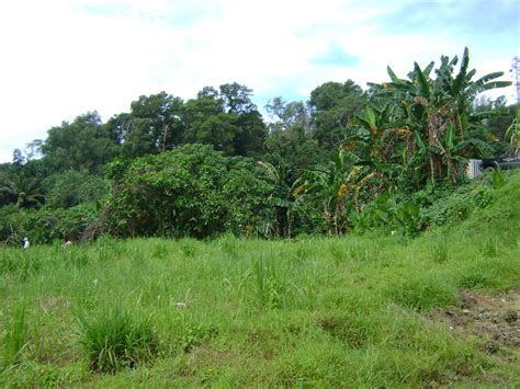 Tun muhammad fuad stephens, (born donald aloysius marmaduke stephens) was the first chief minister of the state of sabah in malaysia, and the first huguan siou or paramount leader of the kadazandusun community. JW Property: 9 acres of CL vacant land nearby to SMK taman ...