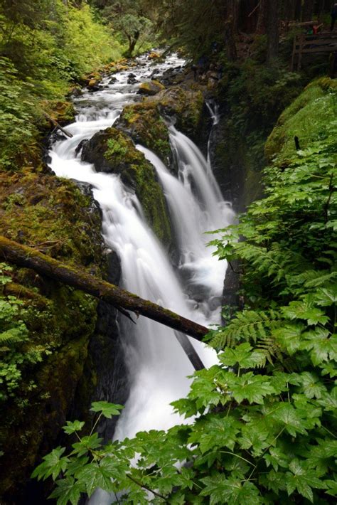 Hiking To Sol Duc Falls Forget Someday