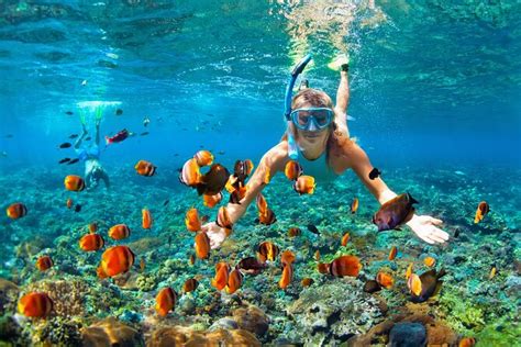 Waikiki Snorkeling Many Fish Up Close Shallow Summer Spot 2 2023 Oahu