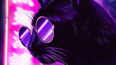 Cat Glasses Neon Purple Nights 4k Hd Artist 4k Wallpapers Images