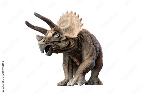Triceratops Dinosaur On Transparent Background PNG 3d Rendering Stock