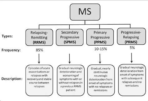 Subtypes Of Multiple Sclerosis Four Major Types Of Ms Have Been