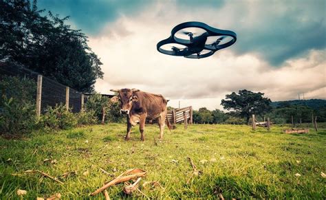 Drone Vs Cow Drone Business Drone Technology Agriculture Drone