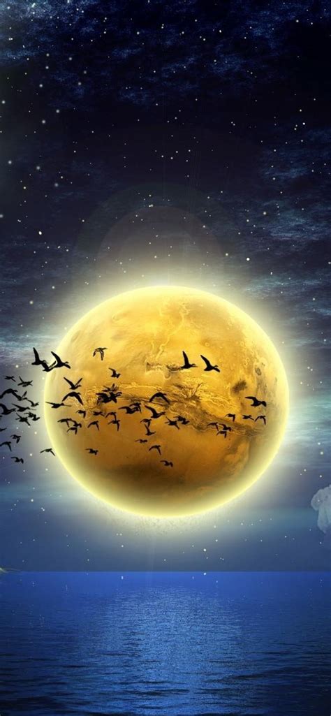 1242x2688 Resolution Moon Birds Boats Iphone Xs Max Wallpaper