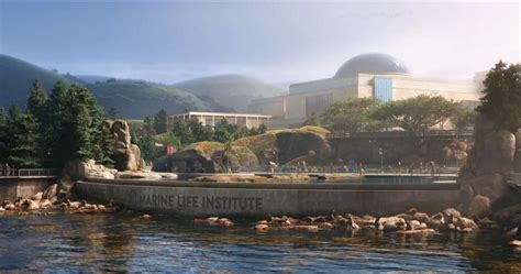 Finding Dory 10 Hidden Details About The Marine Life Institute