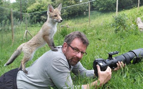 This video covers my experience keeping moon jellyfish as a pet. Why we love keeping foxes at home - despite the smell