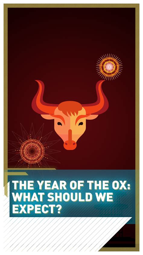 The Year of the Ox: What should we expect? - CGTN