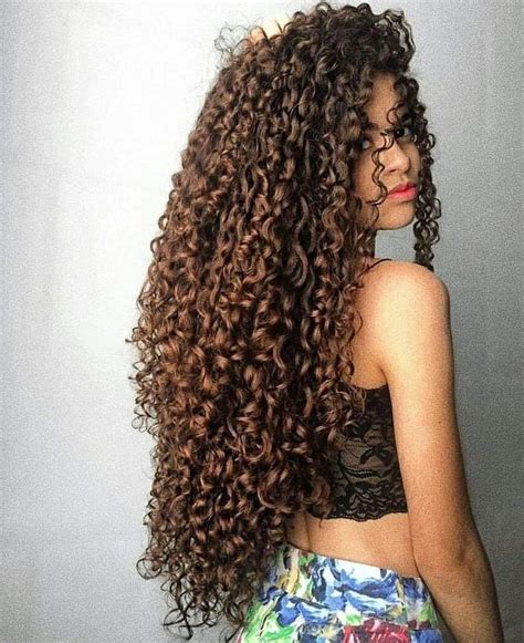 Pin De Carol Queiroz Em Curly Hair Cabelos Cacheados Longos Cabelo