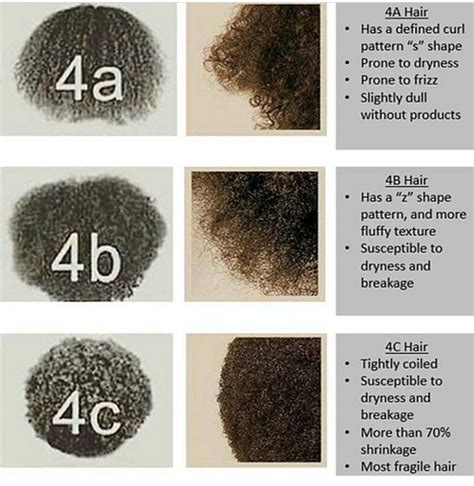 4b Natural Hair Curl Pattern Some Of The Main Blogging Miniaturas