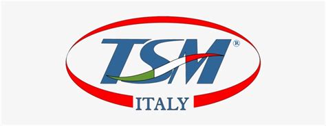 Logo T S M Fondi Logo Tsm Transparent Png 500x248 Free