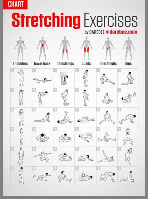 Pin By Taylor Loy On Health And Fitness Stretching Exercises
