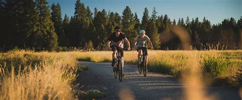 Roam Giant Bicycles Official Site