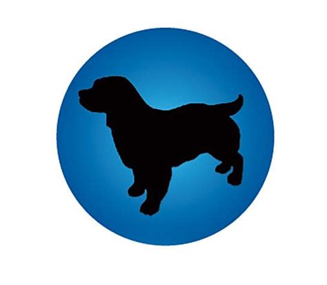 The Silhouette Of A Dog On A Blue Circle