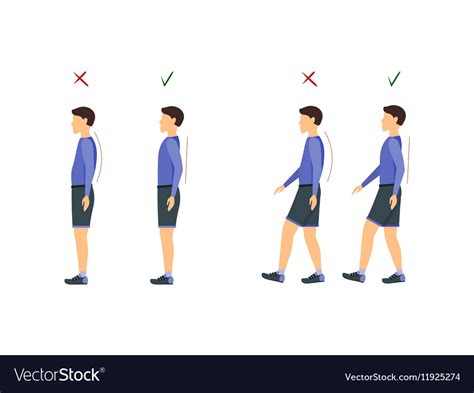Correct Or Incorrect Standing And Walking Posture Vector Stock Vector
