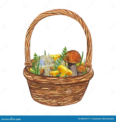 Wicker Basket With Edible Mushrooms Grass Leaves Autumn Still Life