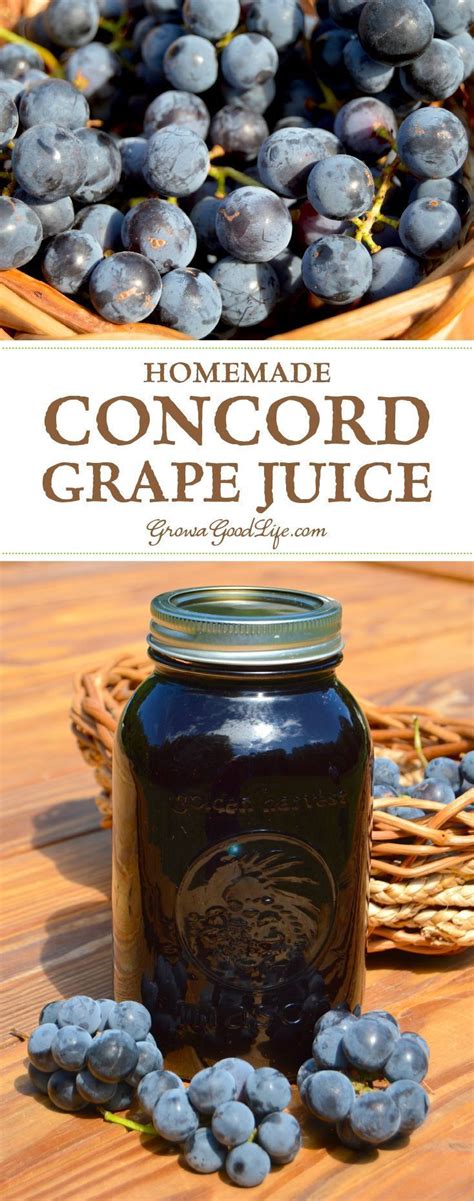 Homemade Concord Grape Juice Recipe Grape Juice Recipe Grape