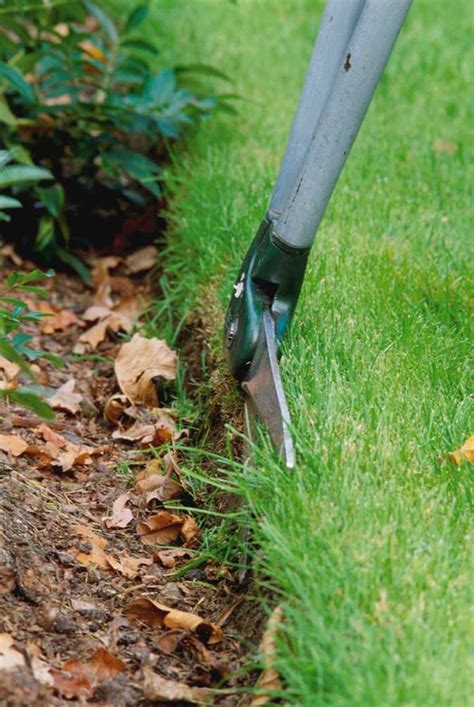 The bulldog premier edging knife is the best lawn edging knife you can get. Alan Titchmarsh on taking care of the lawn in your garden ...