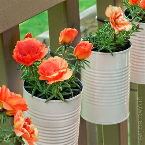 Nopales (the cactus leaf, scientifically called opuntia) is a food staple in latin america served mostly with eggs, and salads because of its health benefits. Tutorial - How to Make a Tin Can Planter | Outdoor living ...