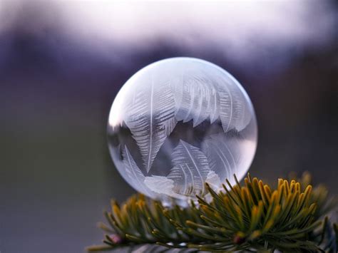 Capturing A Frozen Bubble