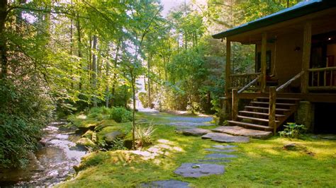 The Secluded Luxury Waterfall Cabin Has Wi Fi And Central Heating