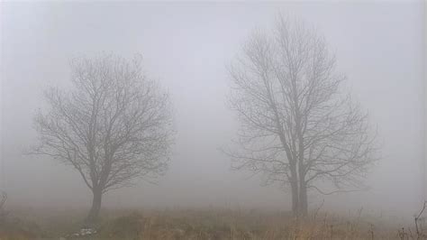 Foggy Weather Foggy Hd Wallpaper Pxfuel