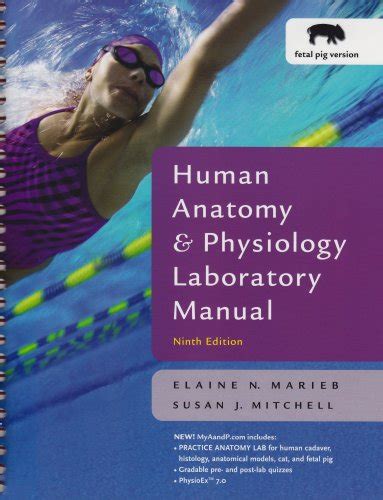 Human Anatomy And Physiology Lab Manual Fetal Pig Version Text