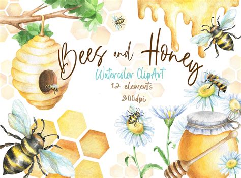Watercolor Bees And Honey Clipart Png Digital Clip Art Hand Painted Be