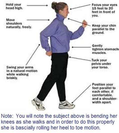 How To Walk Properly For Exercise Exercisewalls