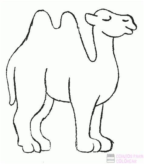 磊 Dibujos De Camellos 250 Lindos Y Faciles Dibujos Para Colorear