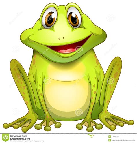 A Smiling Frog Stock Vector Illustration Of Tympanum 31092242