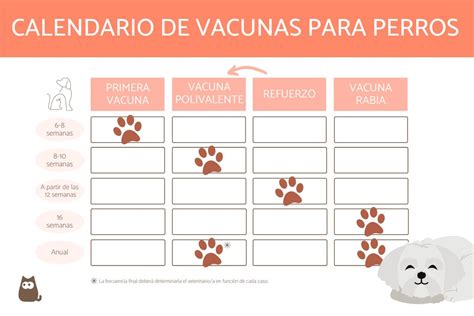 Gibt es Verknüpfungen Revision vacunas perros adultos Vorarbeiter Pech