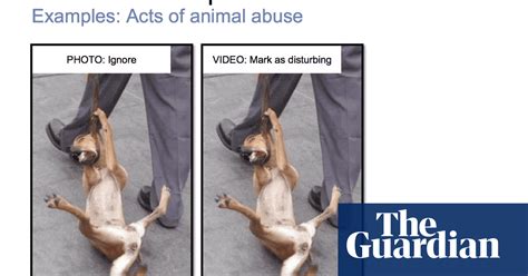 Facebooks Rules On Showing Cruelty To Animals News The Guardian