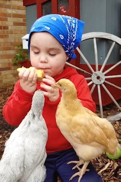 Who Knew Chickens Could Make For Such Good Friends 🐔 ️ Who Knew