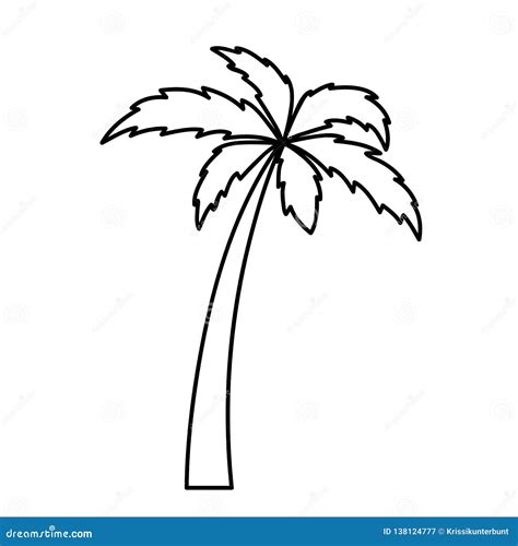 Palm Tree Simple Icon Pictogram Outline Stock Vector Illustration Of