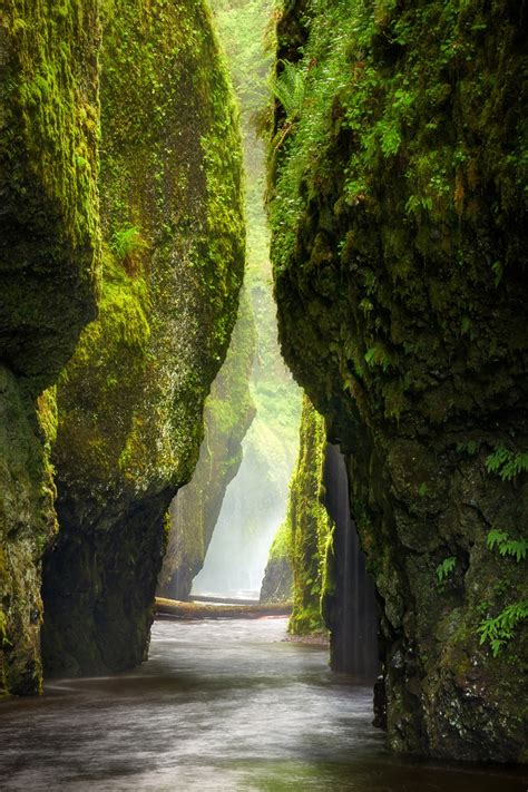 Oneonta Gorge Oregon It Is What It Is