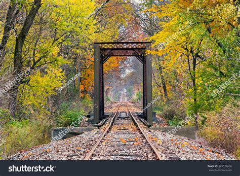 Railroad Tracks Cross Trestle Surrounded By Stock Photo 229574656
