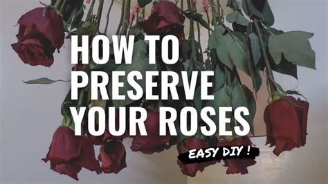 Learn How To Keep Your Roses Forever Simple Diy By Janine Dlv Youtube