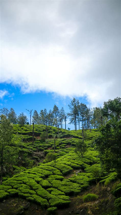 3840x2160px Free Download Hd Wallpaper Kerala Nature Green