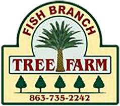 Tree fish farm team has adopted this privacy policy (privacy policy) to explain how tree fish farm collects, stores, and uses the information collected in connection with tree fish farm's services. Team - Fish Branch Tree Farm