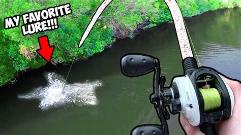 Insane Topwater Bass Fishing Crazy Topwater Action Youtube
