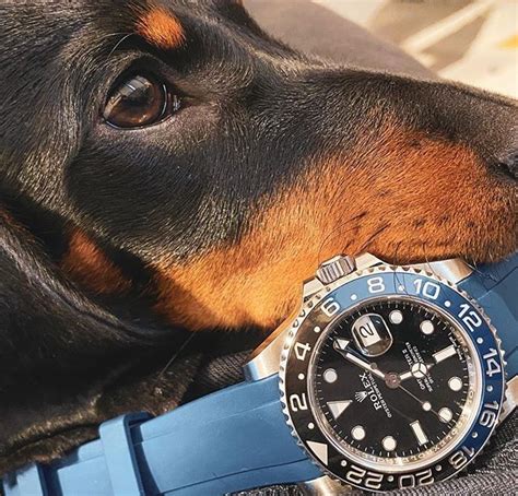 Rolex And Dogs In 2020 Rolex Watch Anish Watch Bands