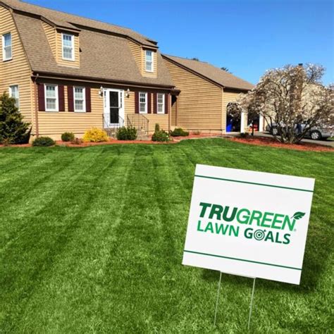 Trugreen Review Must Read This Before Buying
