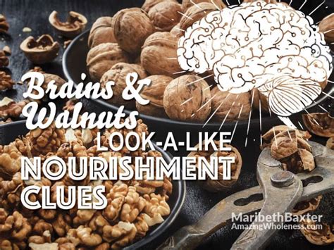 Brain And Walnut Shape Nourishment For The Brain Amazing Wholeness
