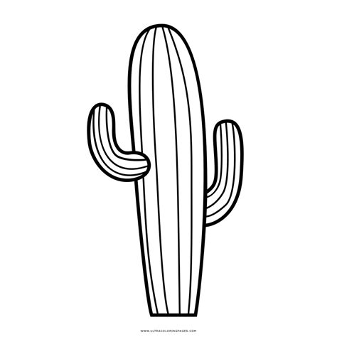Dibujo De Cactus Para Colorear Ultra Coloring Pages